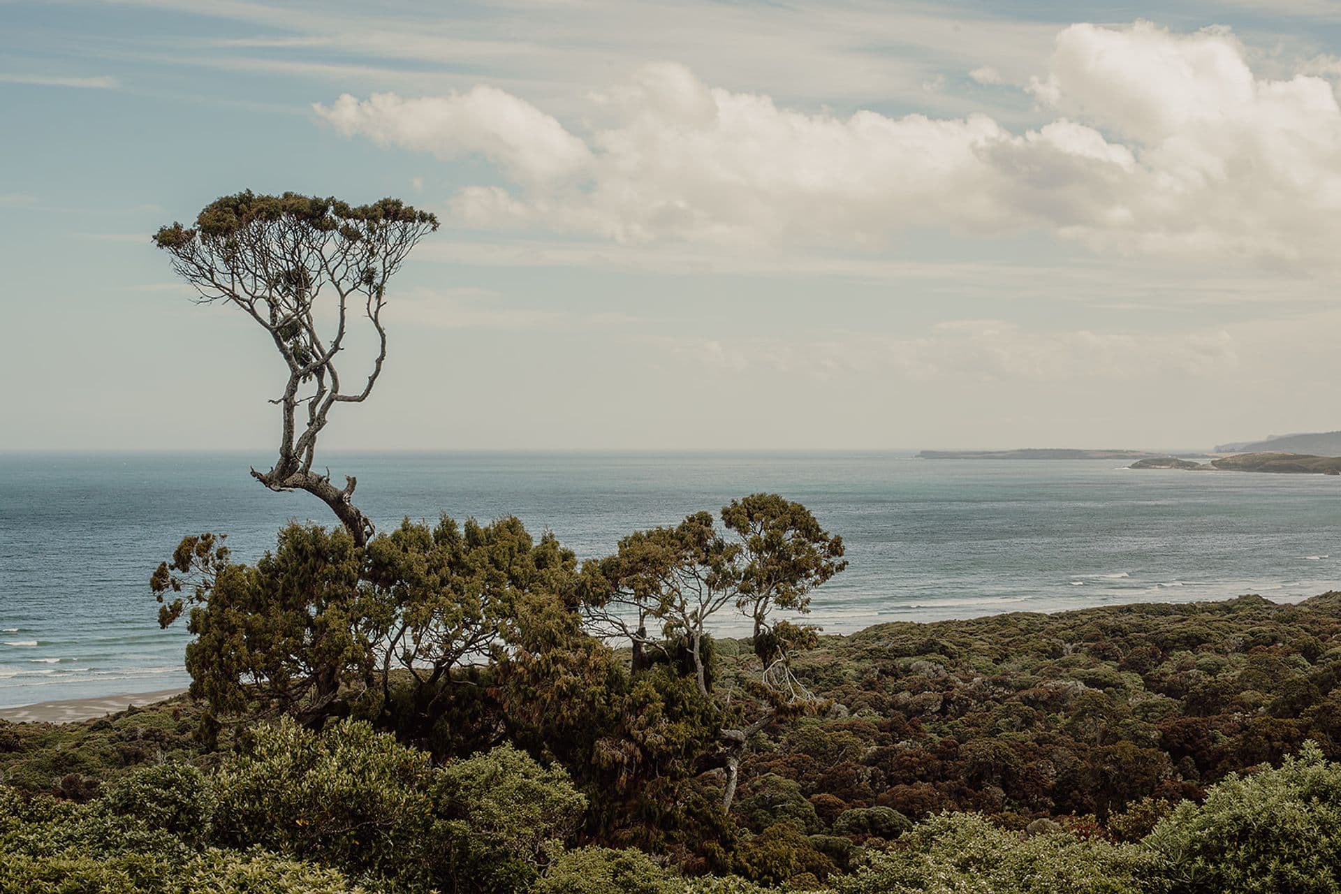 views in the catlins