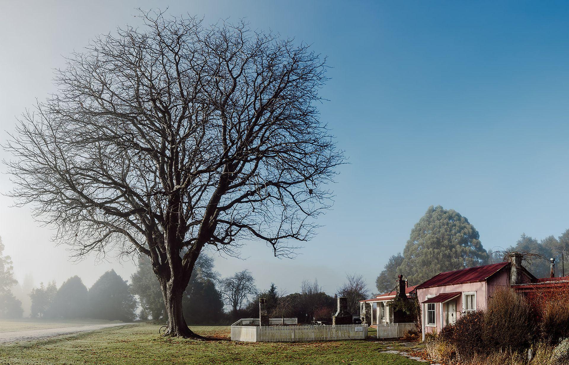 Fog and Blue Skies and Paradise Trust